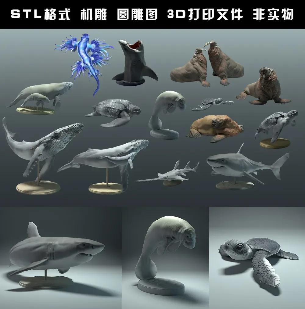الحيوانات ، الدب القطبي ، تاكي - مراجعة 3D Printing File Stl وسعره
